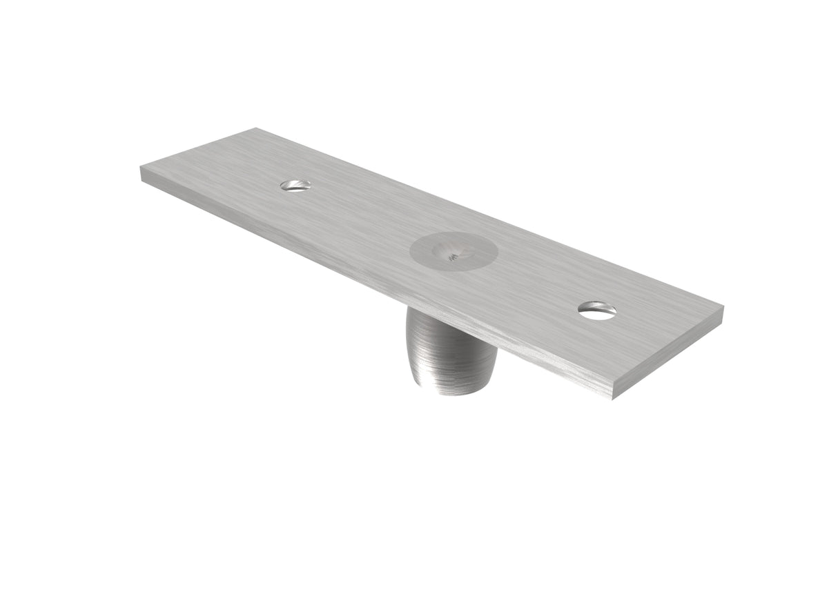 Upper hinge with pivot.