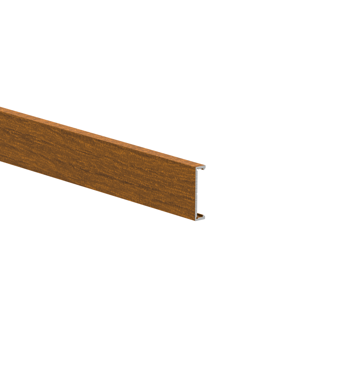 Aluminum facade strip 25x6-6000mm W03