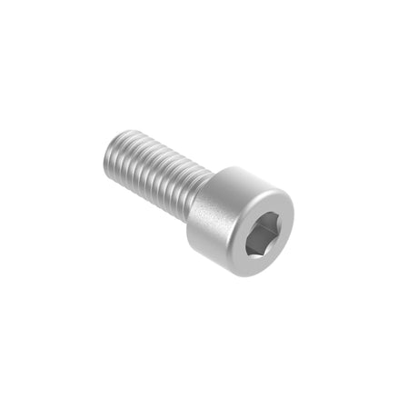 Vis a tete cylindrique a six pans creux, AISI304, M10x45