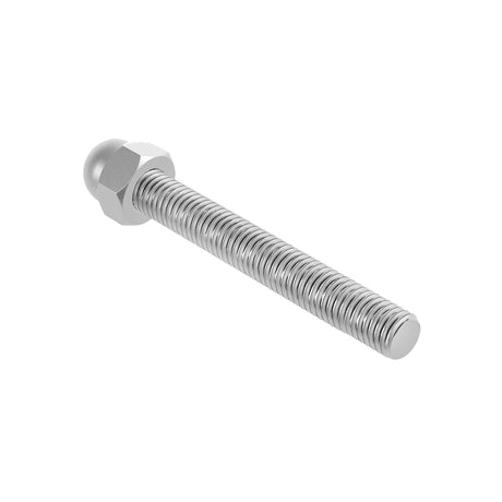 Threaded rod M10x100 with cap nut